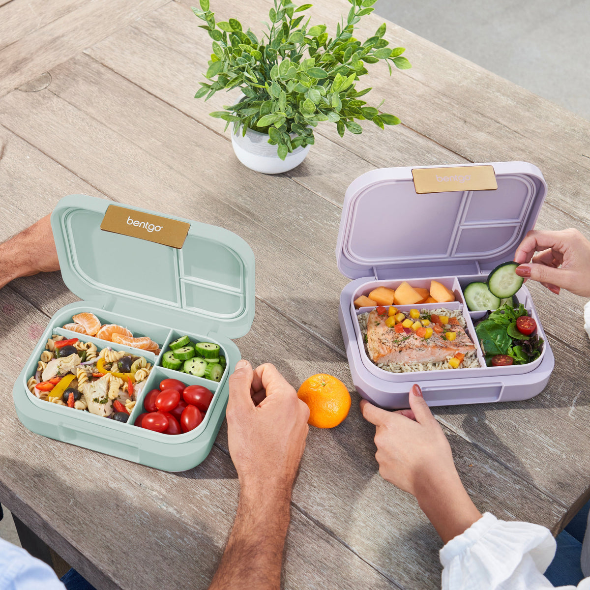 bentgo-modern-lunch-box-2-pack-n8 COSTCOBMCPRODUCTIMAGE_2.jpg